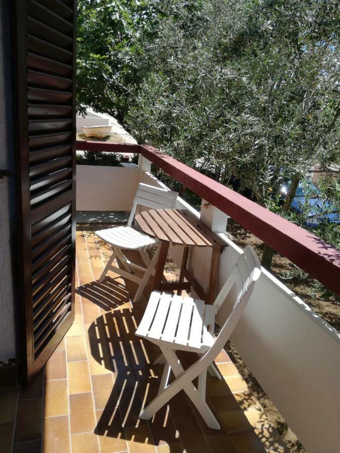 Aenona Sunny Apartment Vrsi Εξωτερικό φωτογραφία